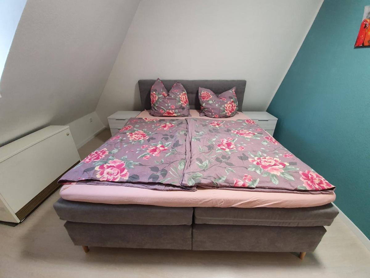 Ferienwohnung „Forsthaus Bigge“ 올스버그 외부 사진